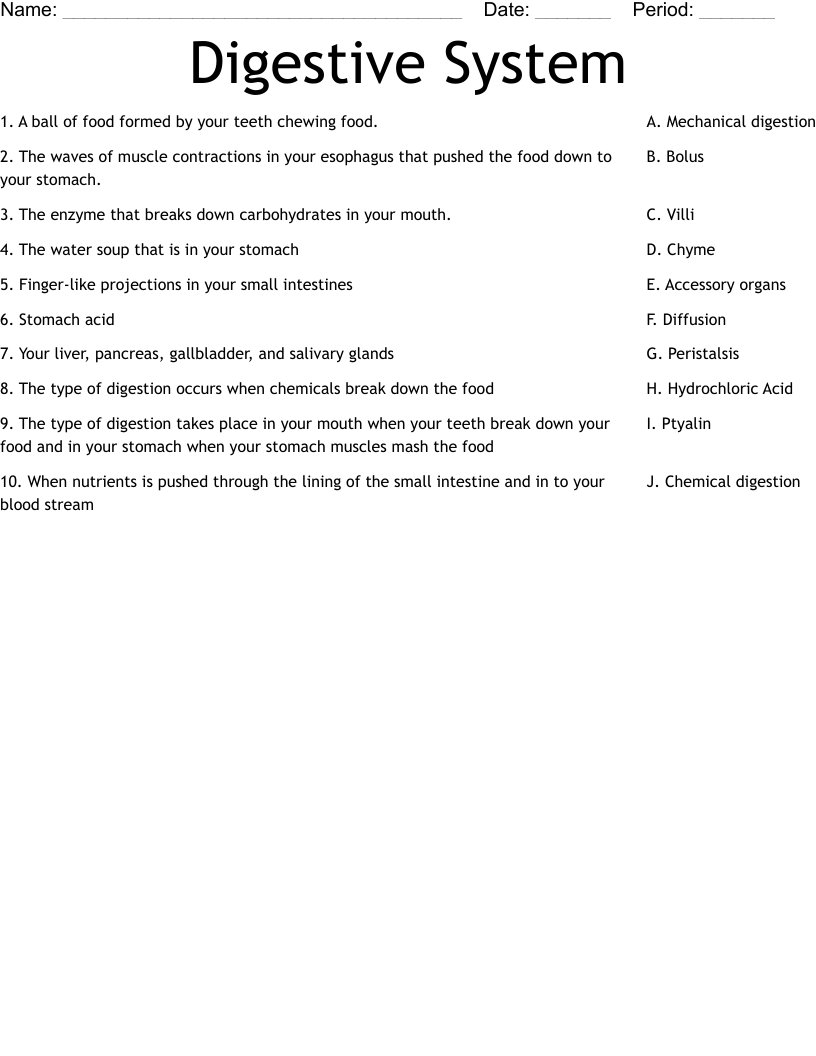 Digestive System Worksheet