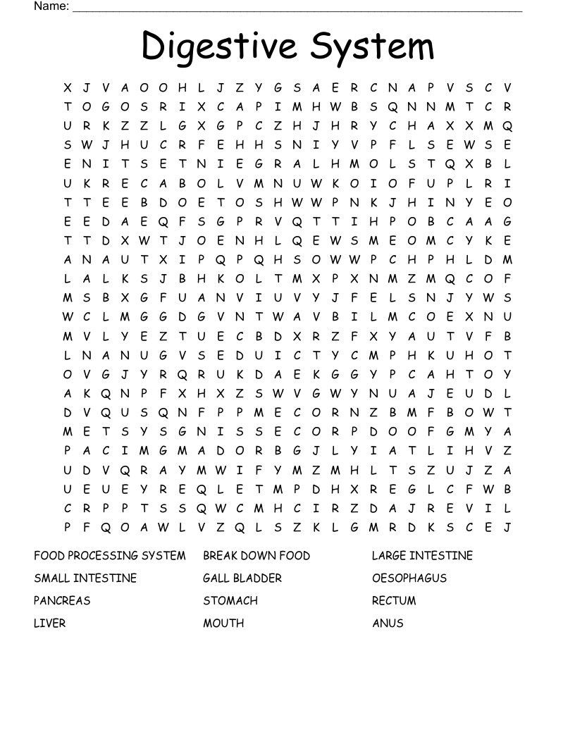 Digestive System Word Search