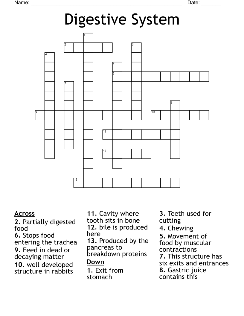 Digestive System Crossword