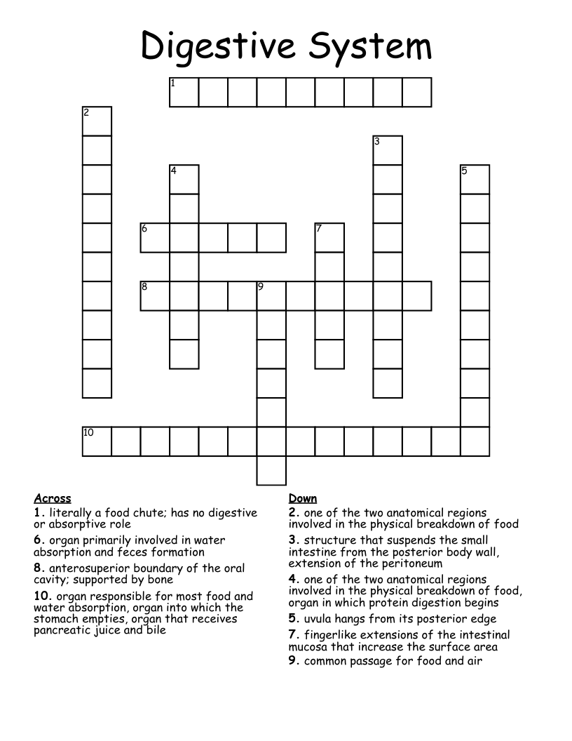 Digestive System Crossword