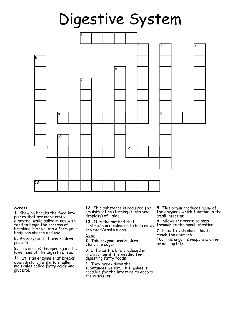 Digestive System Crossword
