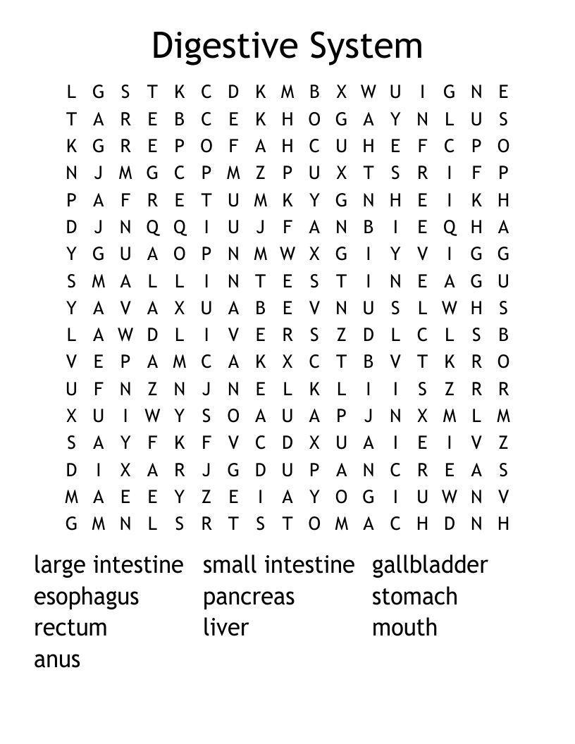 Digestive System Word Search