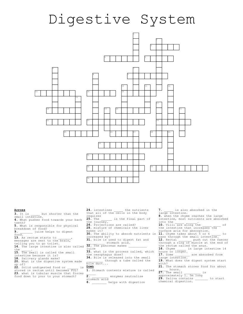Digestive System Crossword