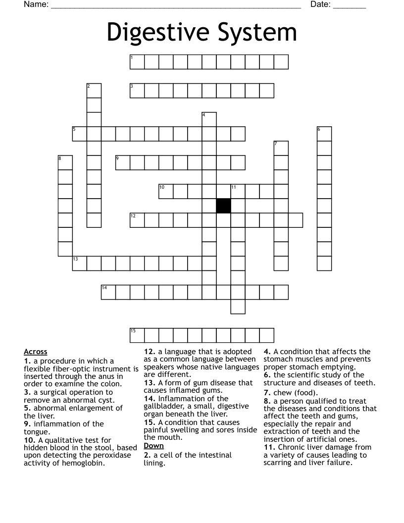 Digestive System Crossword