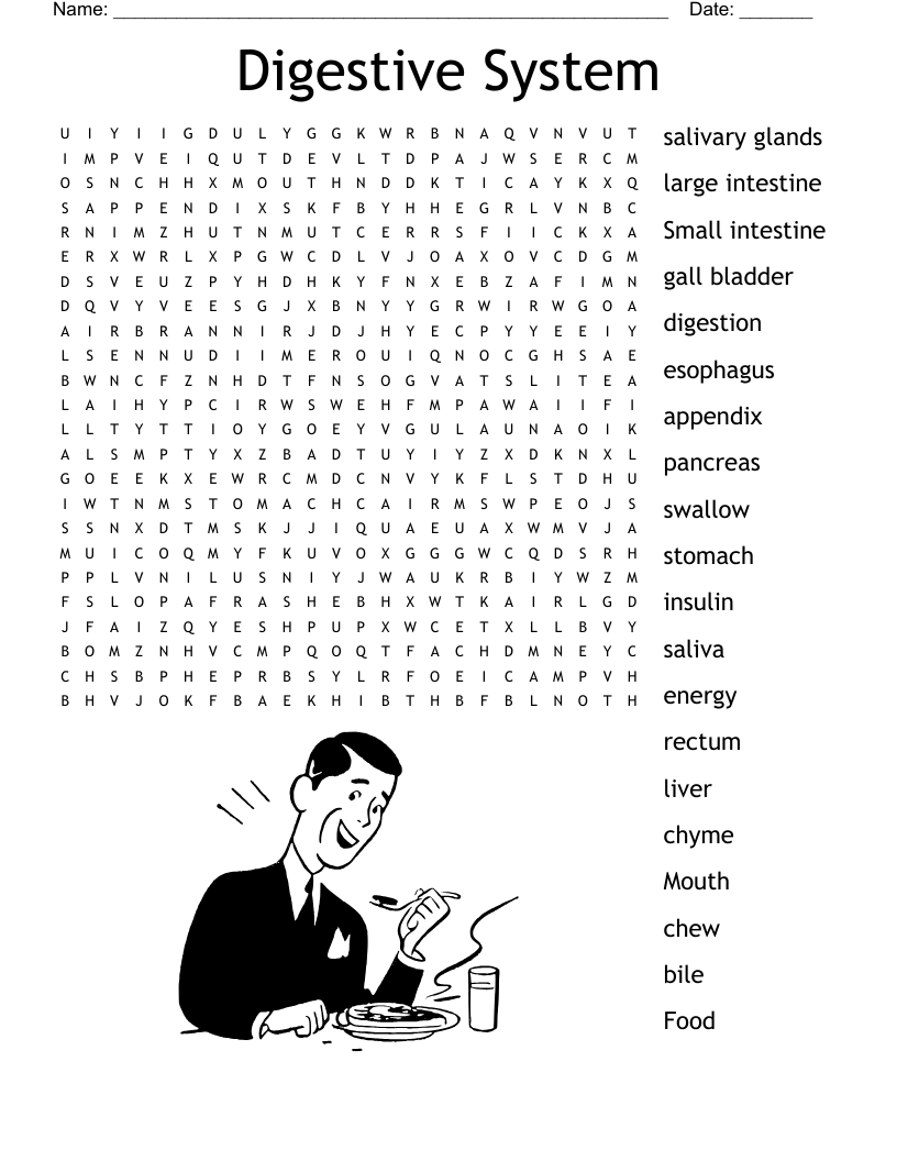 Digestive System Word Search
