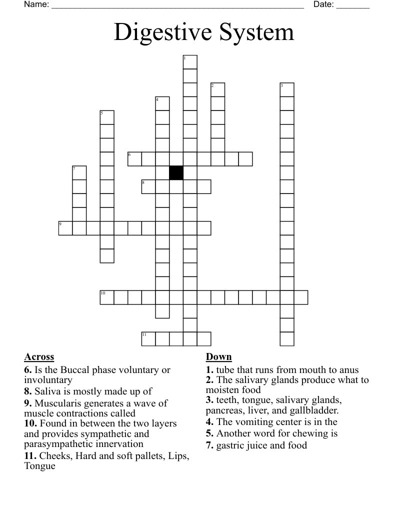 Digestive System Crossword