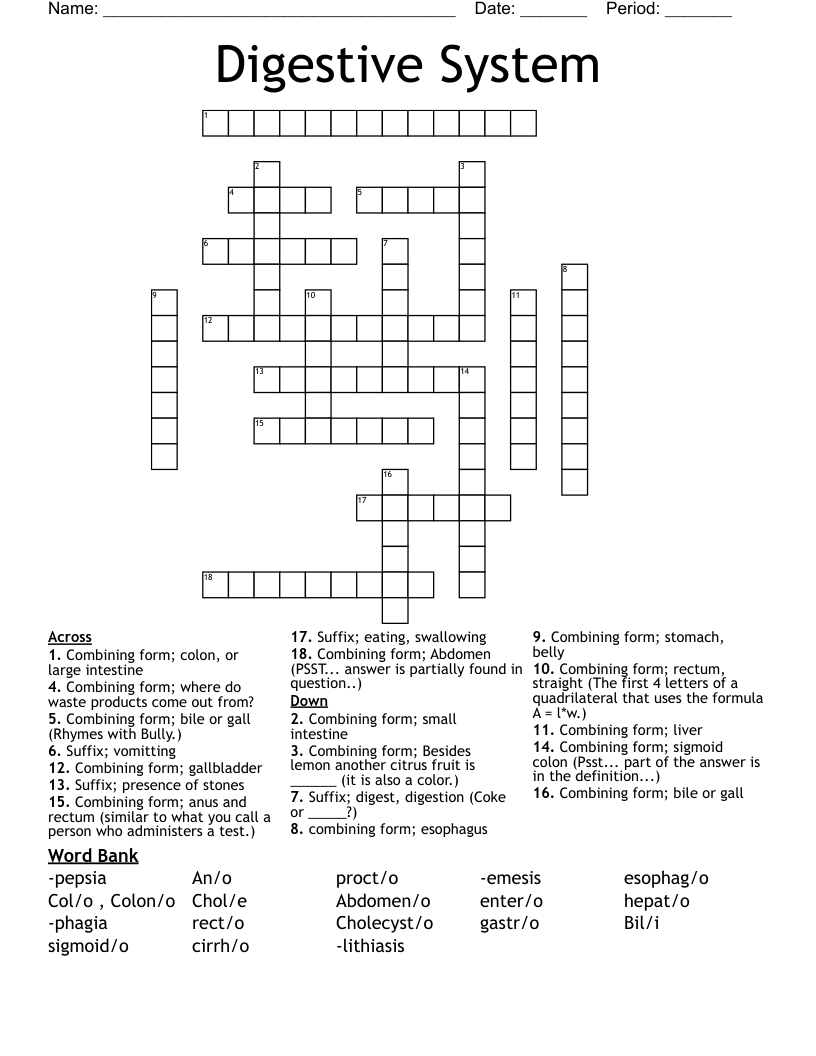 Digestive System Crossword