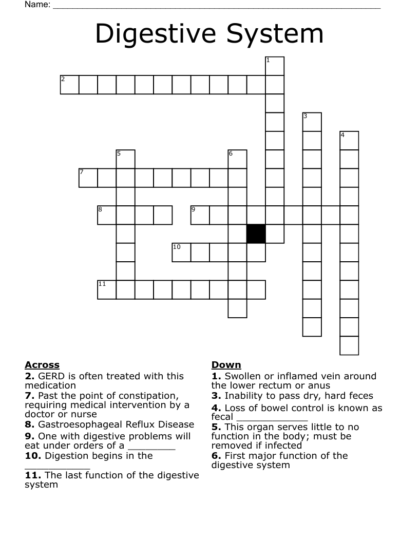 Digestive System Crossword