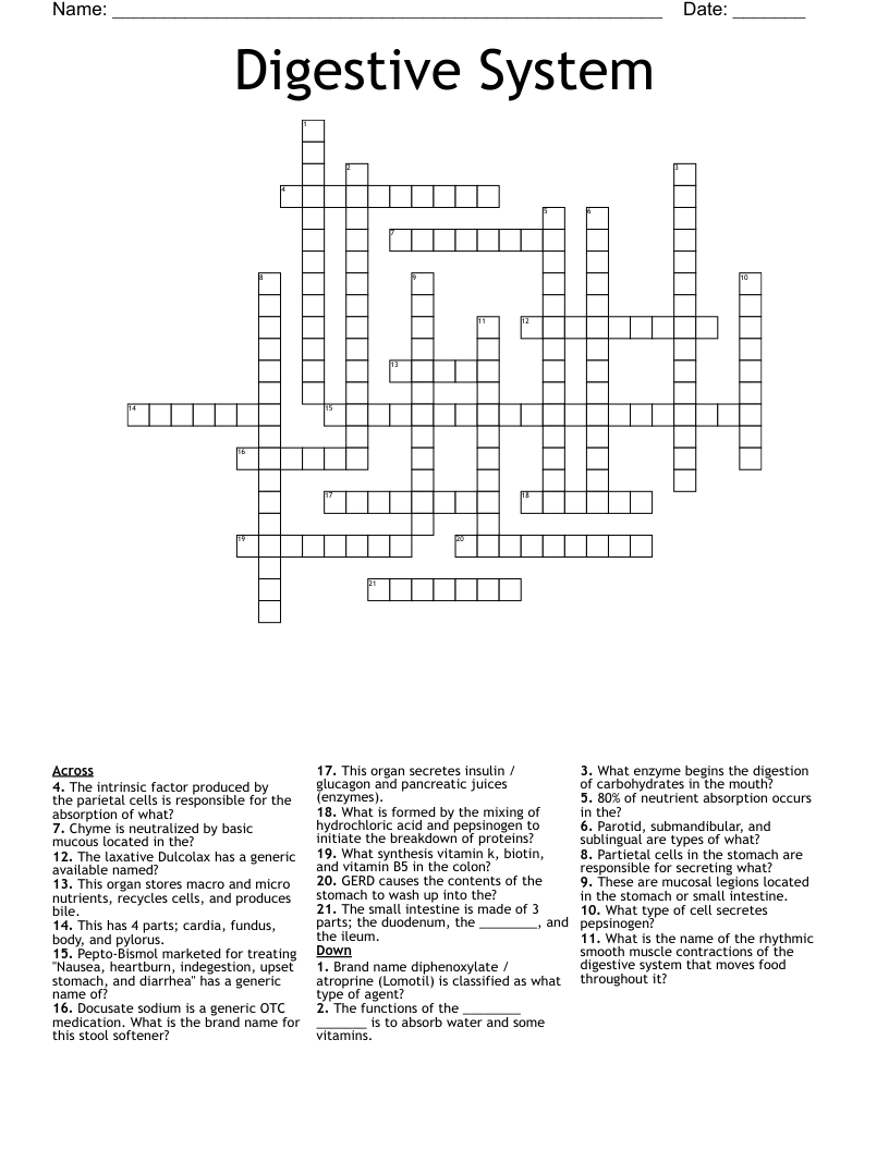 Digestive System Crossword