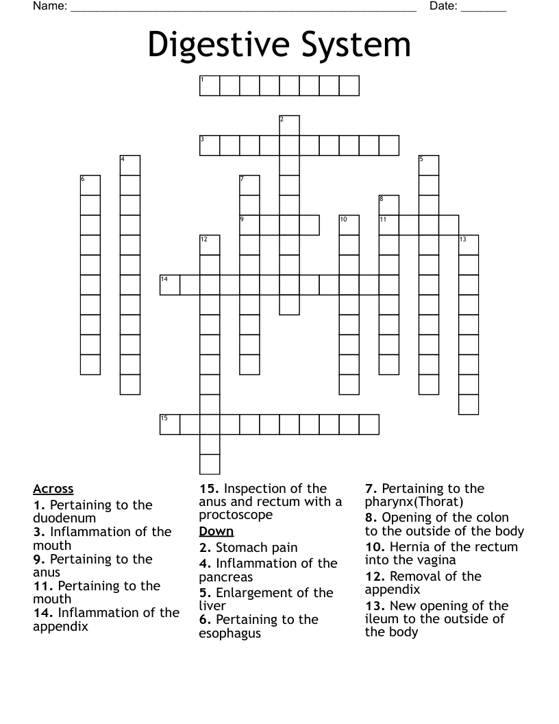 Digestive System Crossword