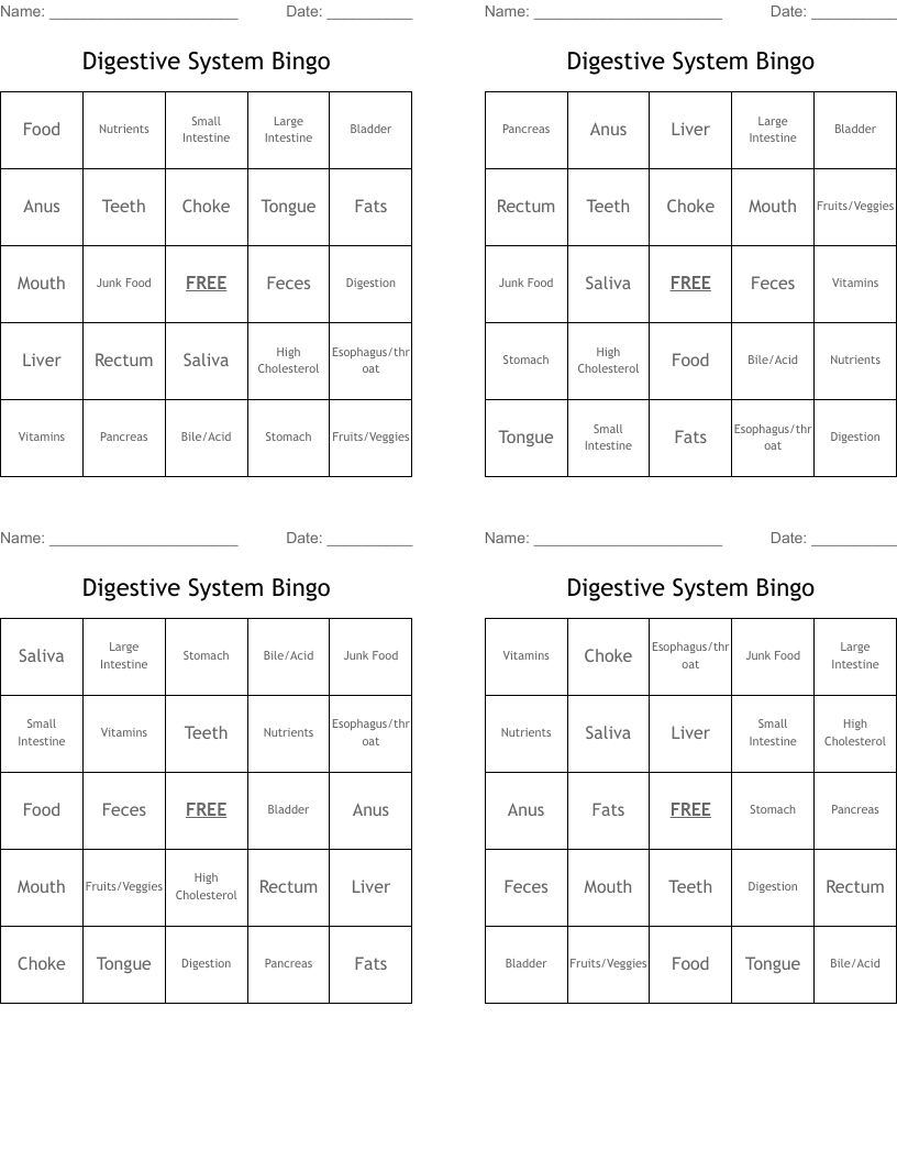 Digestive System Bingo