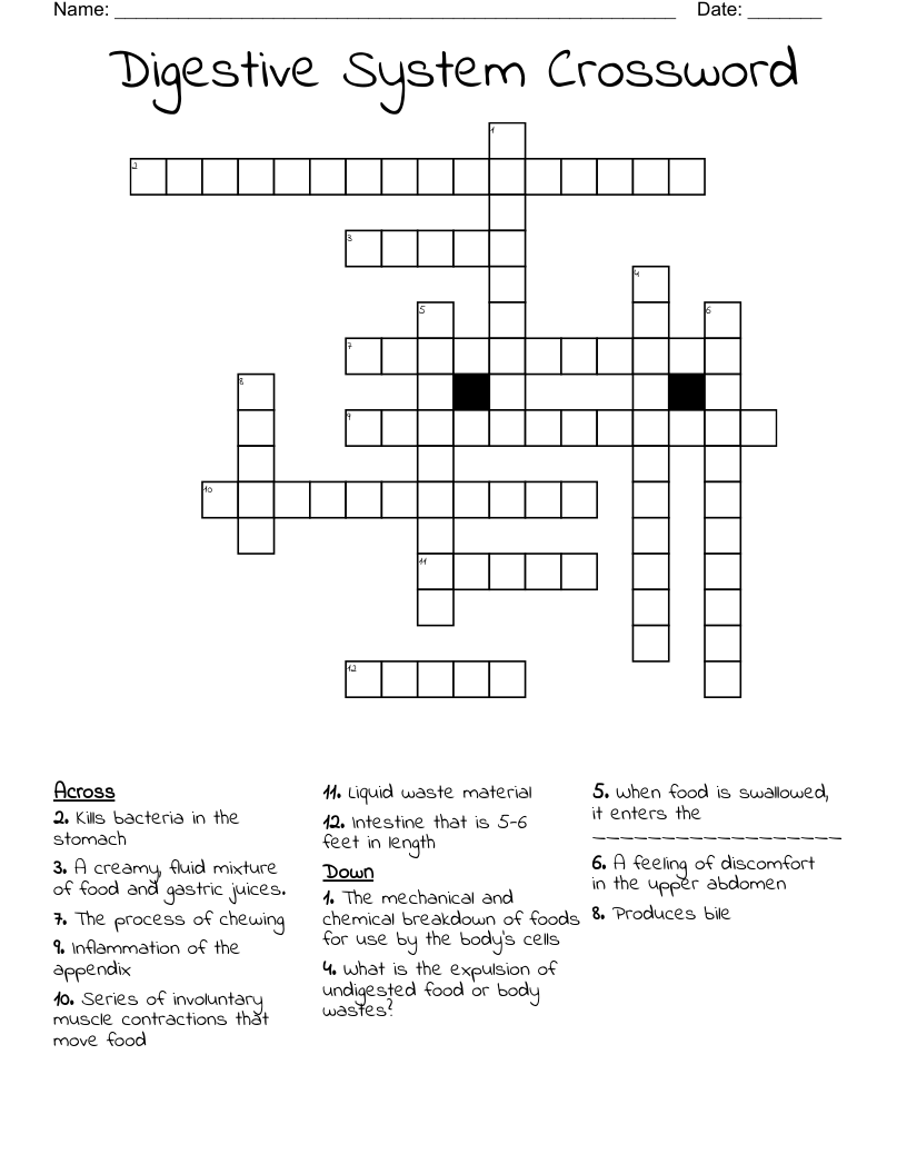 Digestive System Crossword