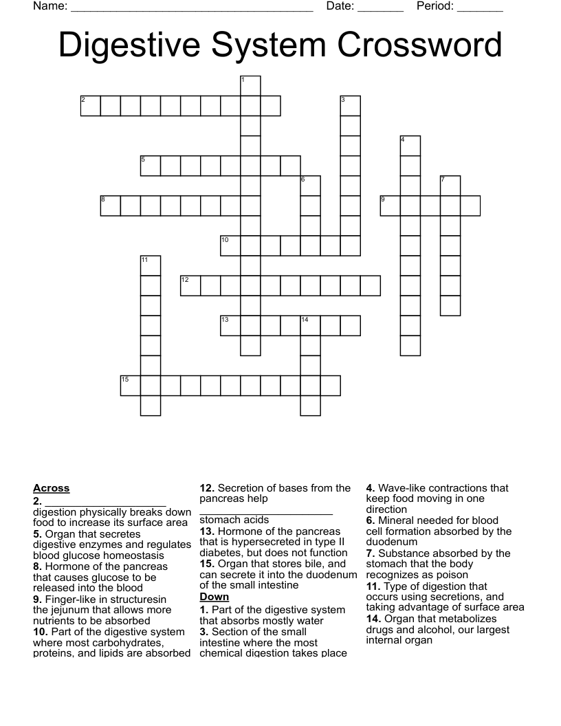 Digestive System Crossword