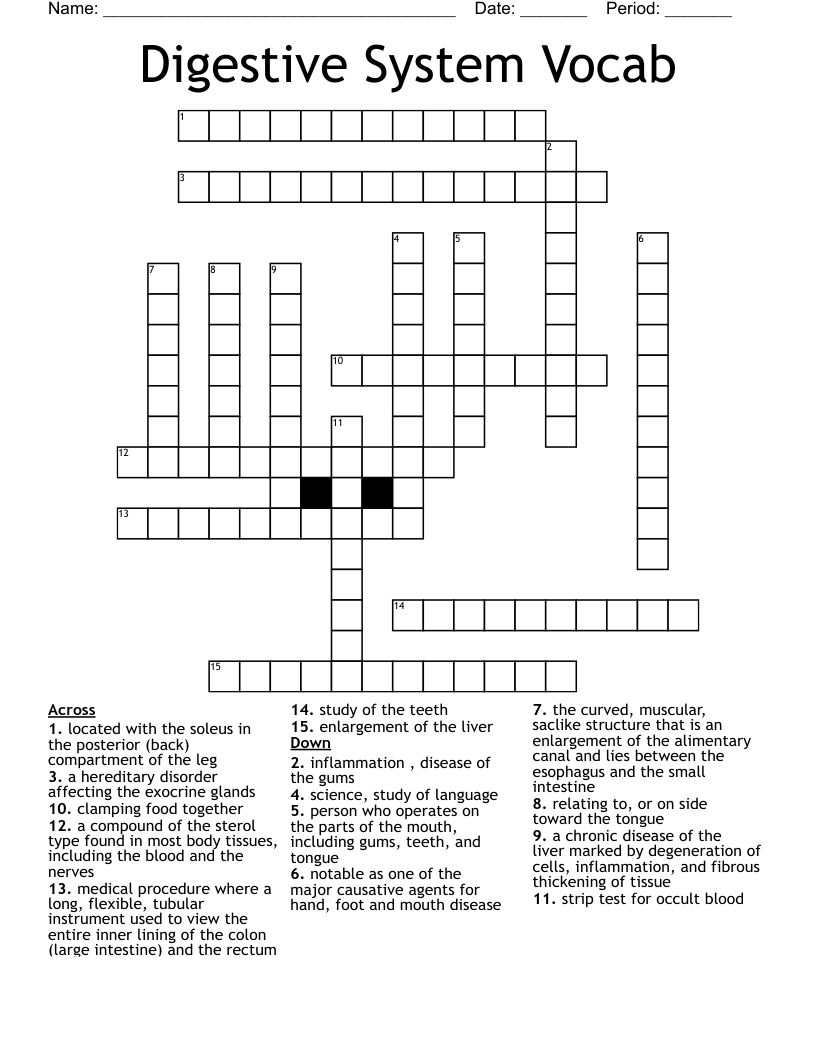 Digestive System Vocab Crossword