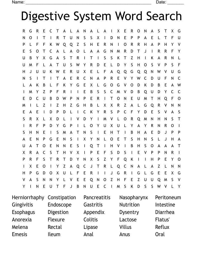 Digestive System Word Search