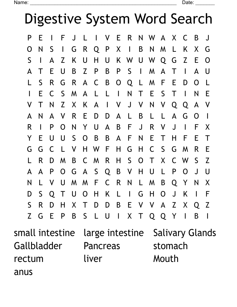 Digestive System Word Search