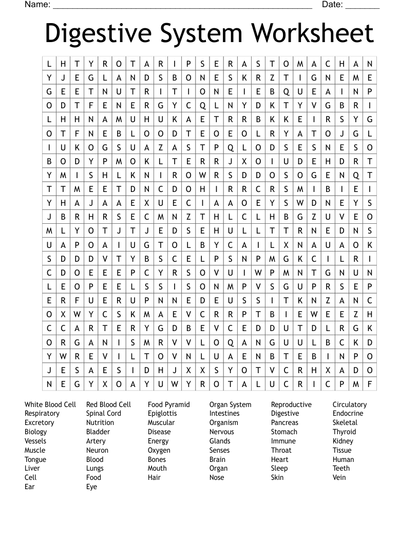 Digestive System Worksheet Word Search