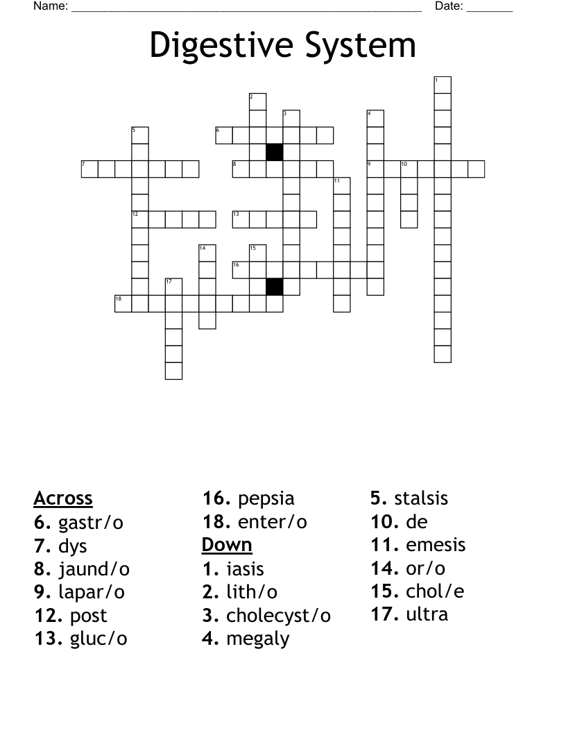 Digestive System  Crossword