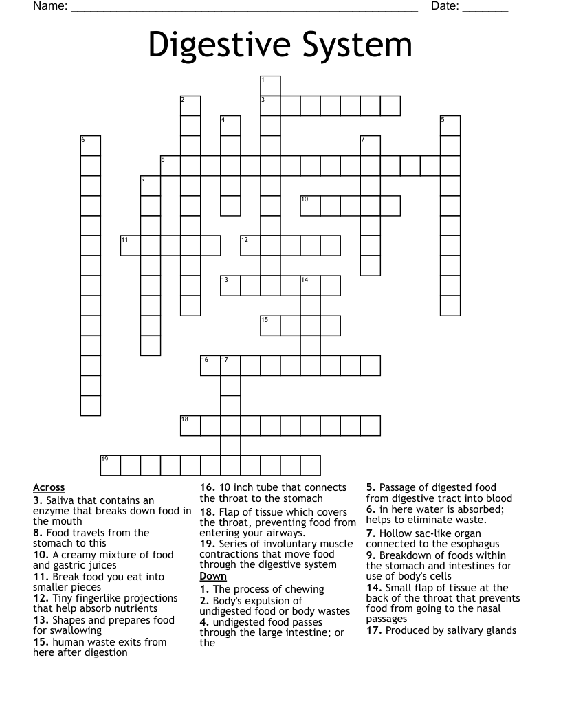 Digestive System  Crossword