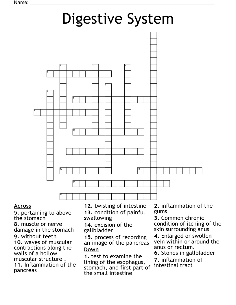 Digestive System  Crossword