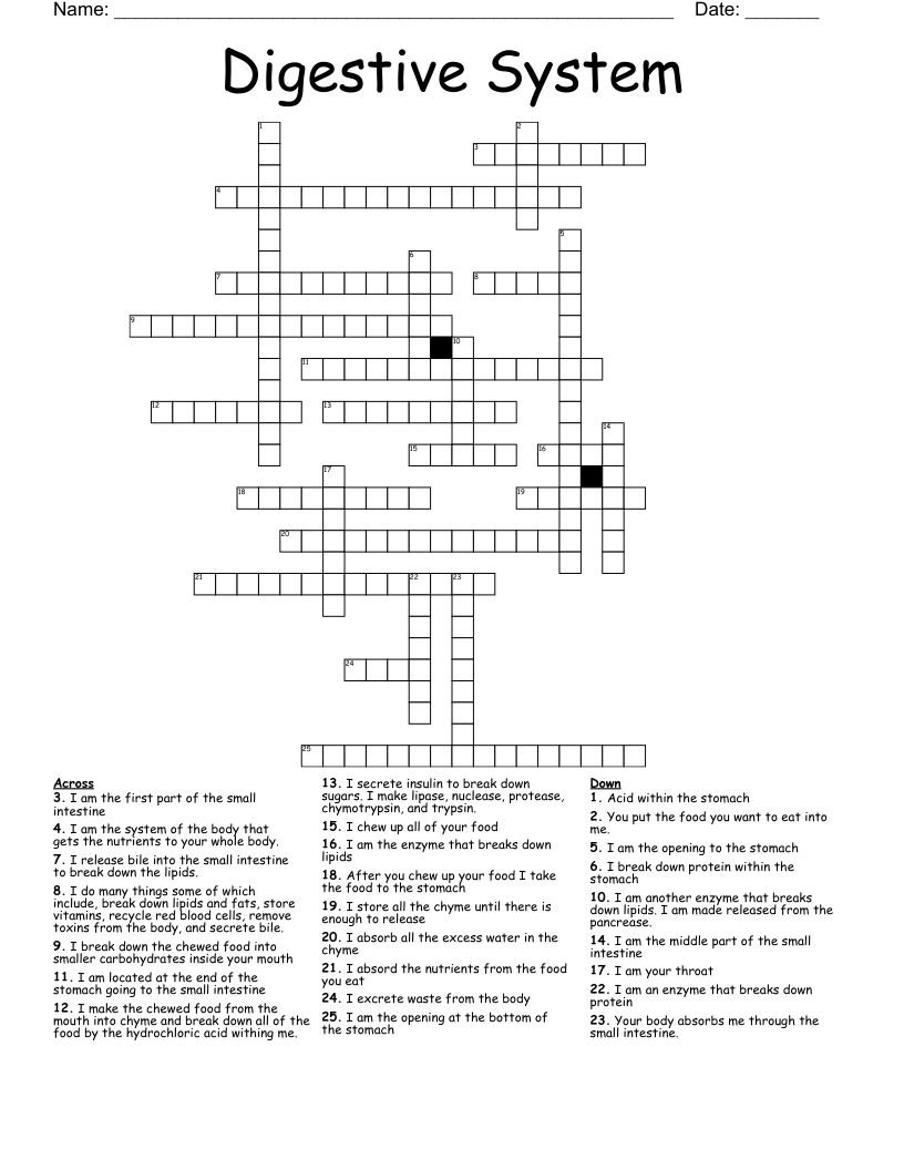 Digestive System  Crossword