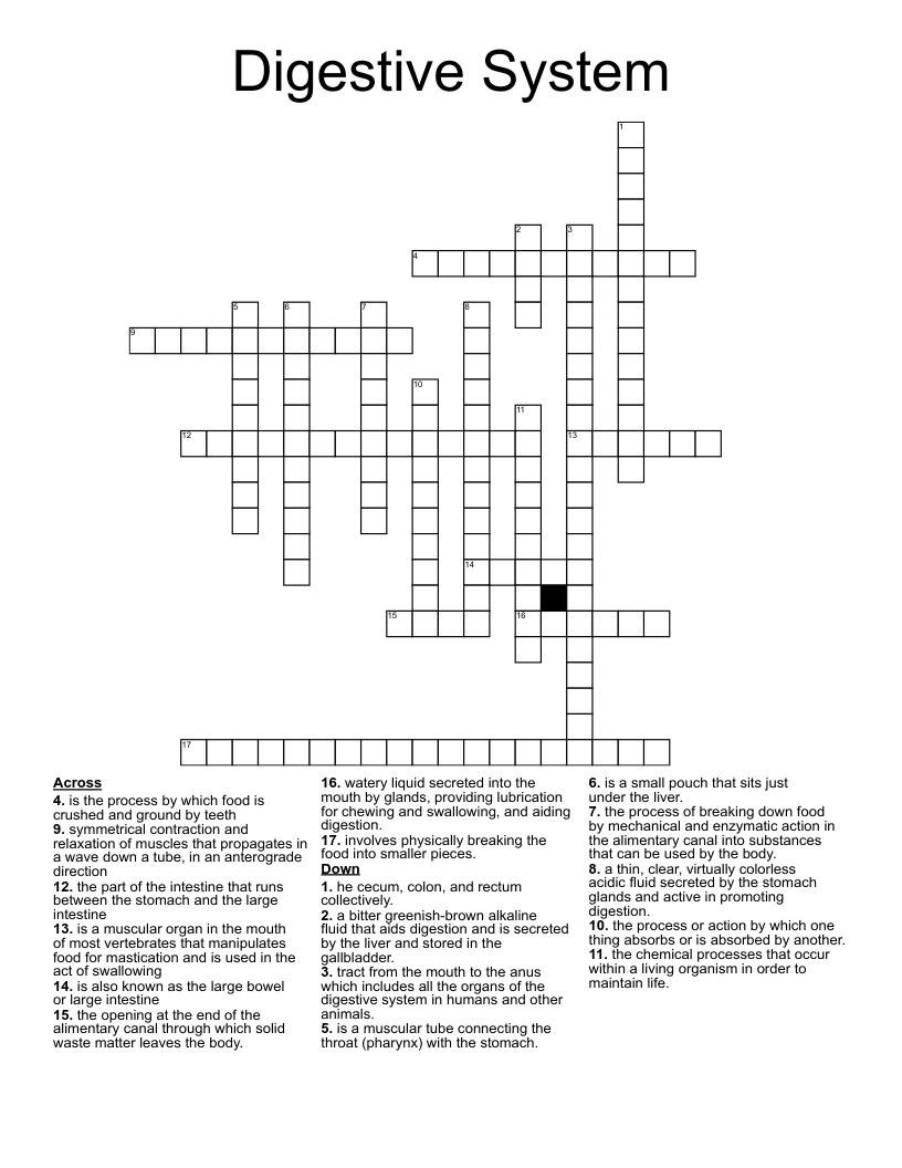 Digestive System  Crossword