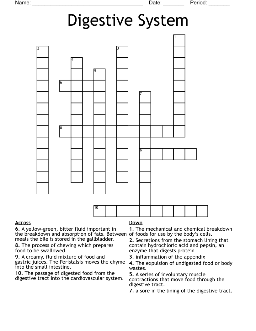 Digestive System  Crossword