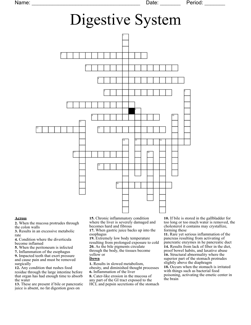 Digestive System  Crossword