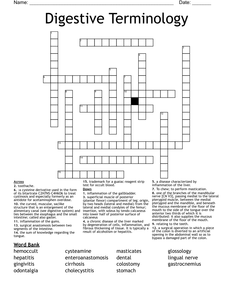 Digestive Terminology  Crossword