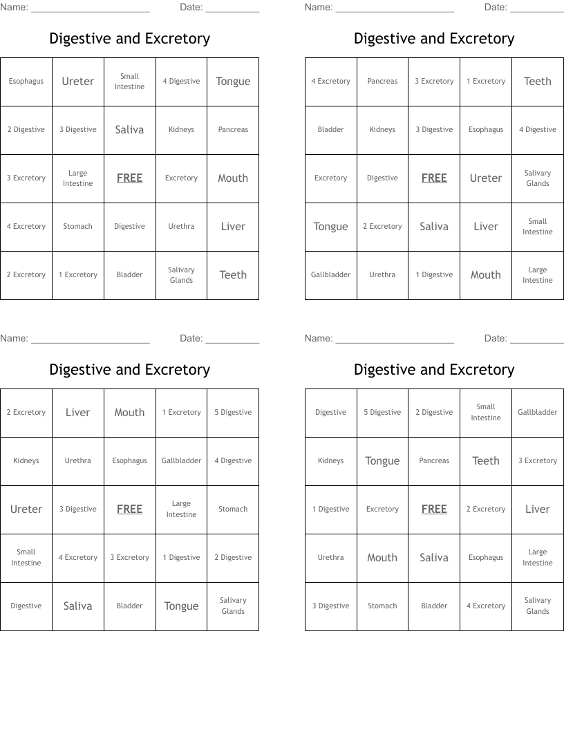 Digestive and Excretory Bingo Cards