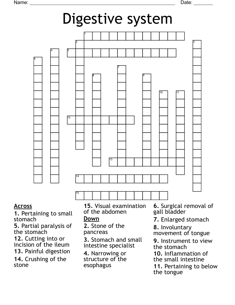 Digestive system Crossword