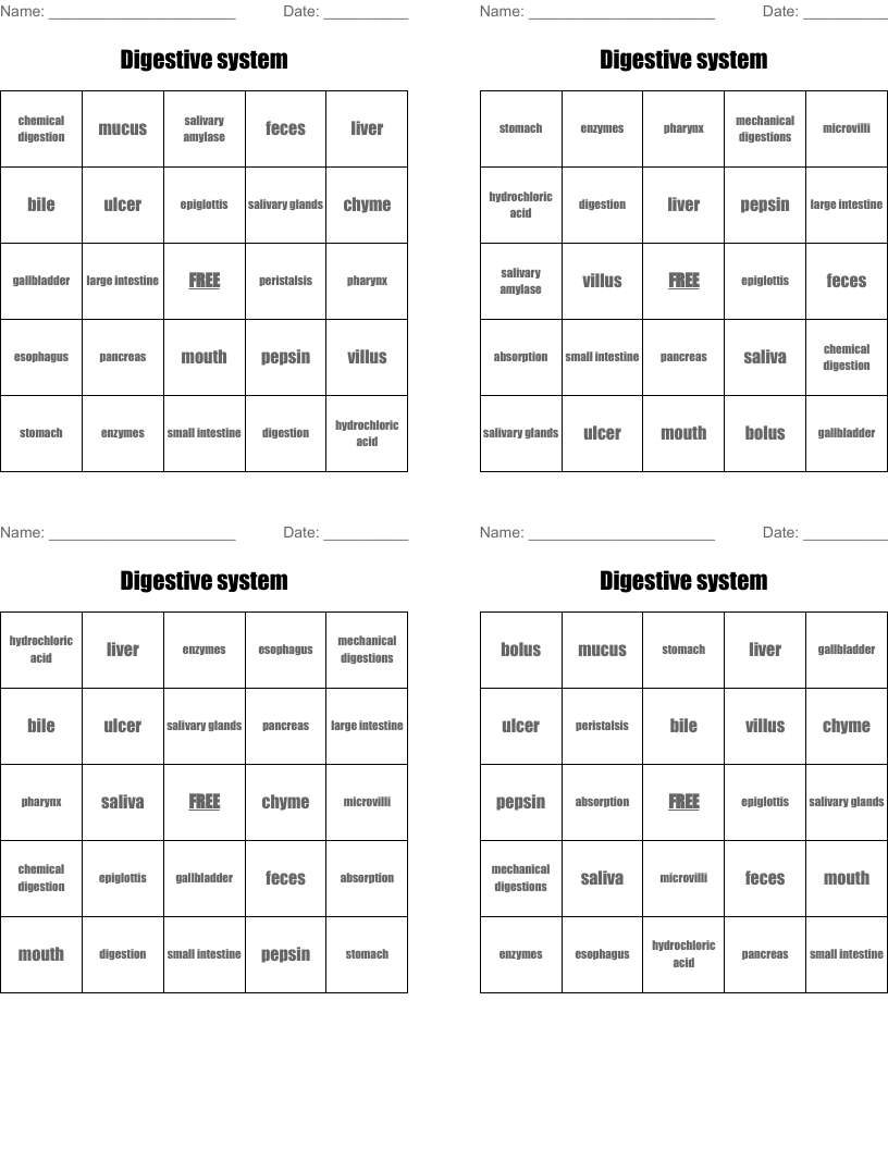 Digestive system Bingo Cards