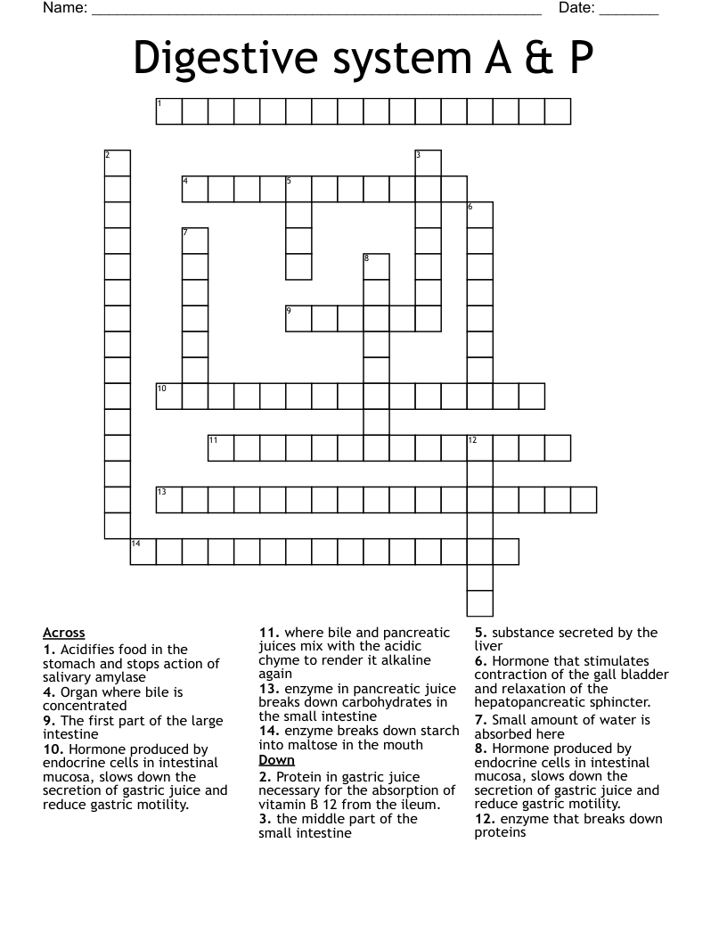 Digestive system A & P Crossword