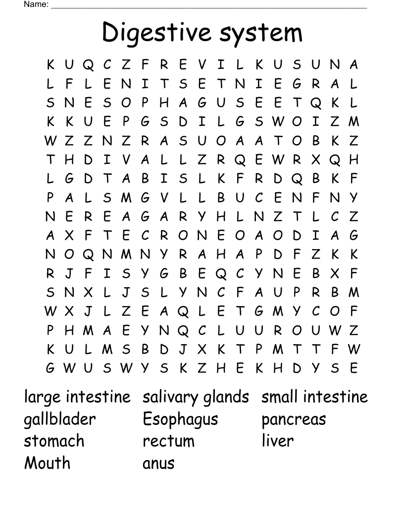 Digestive system  Word Search