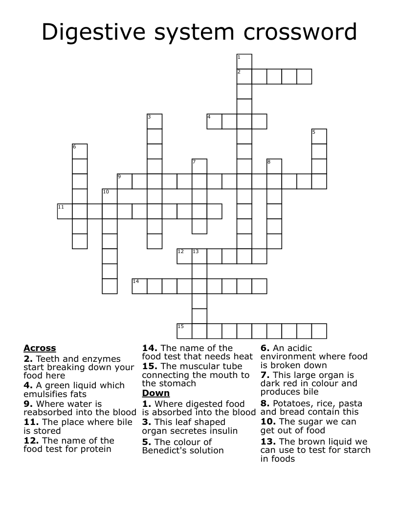 Digestive system crossword
