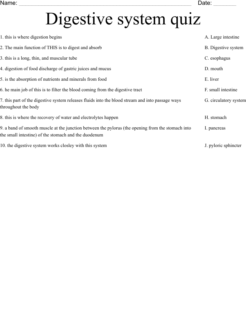 Digestive system quiz Worksheet