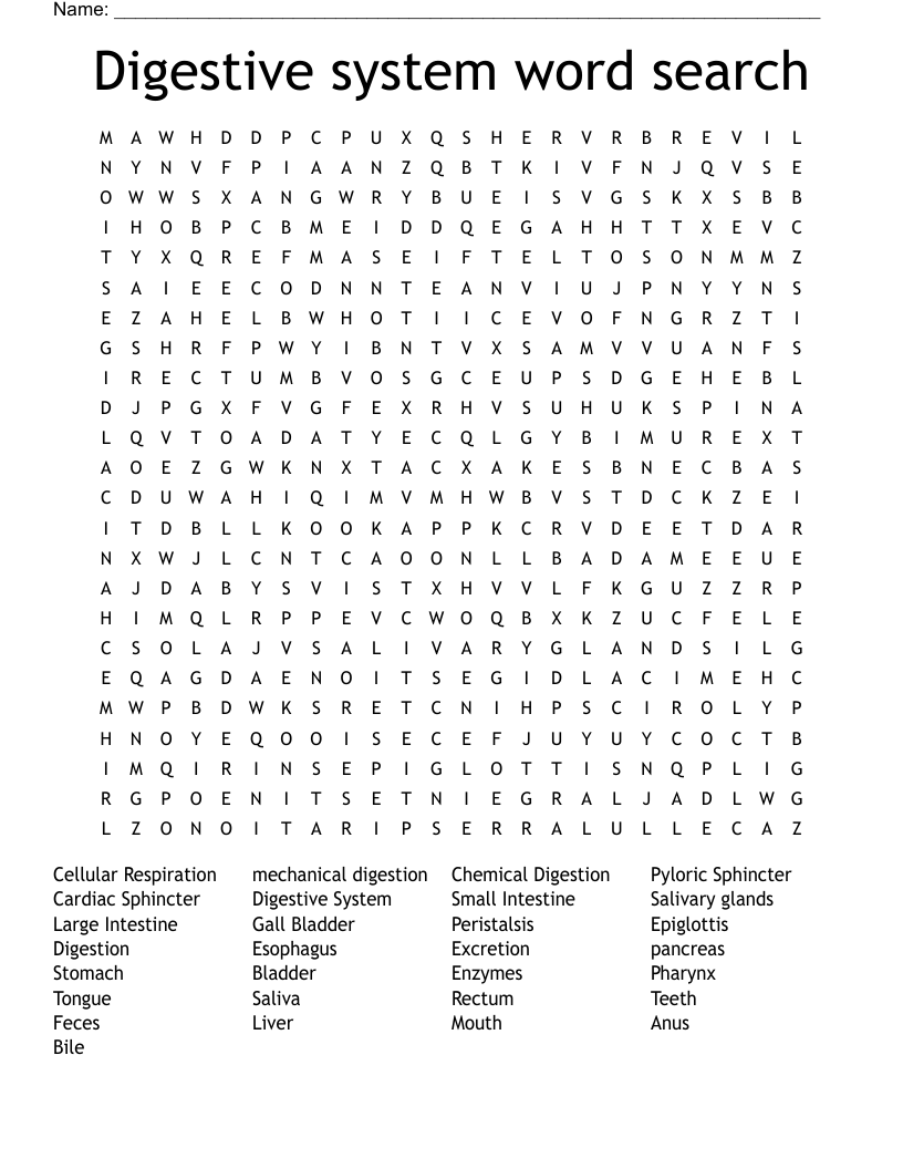 Digestive system word search