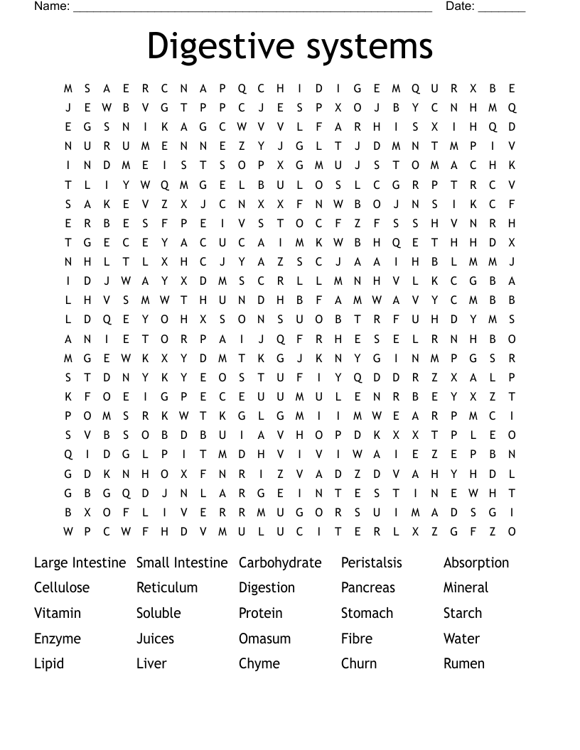 Digestive systems  Word Search