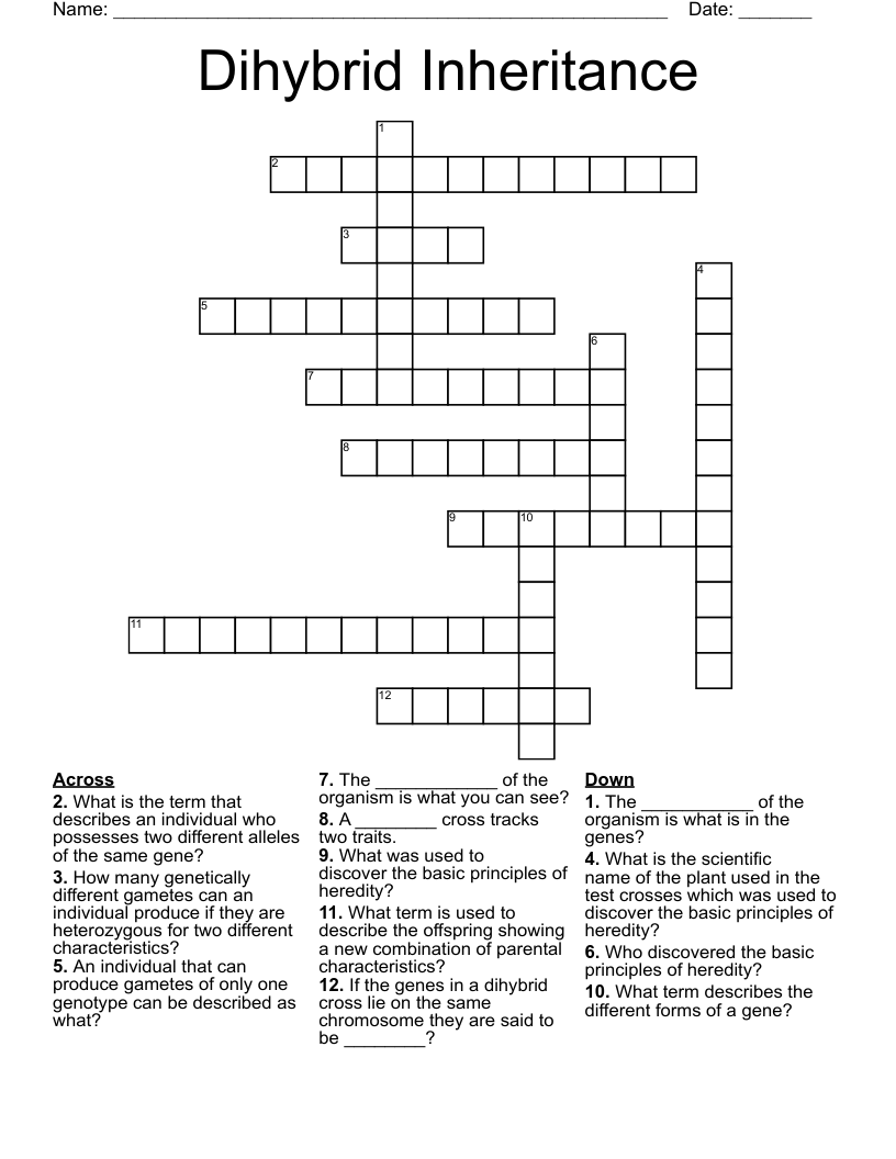 Dihybrid Inheritance Crossword