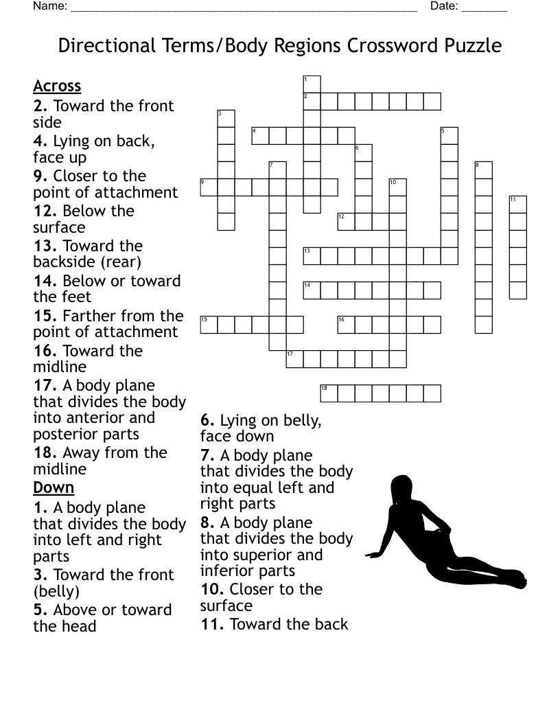 Directional Terms/Body Regions Crossword Puzzle