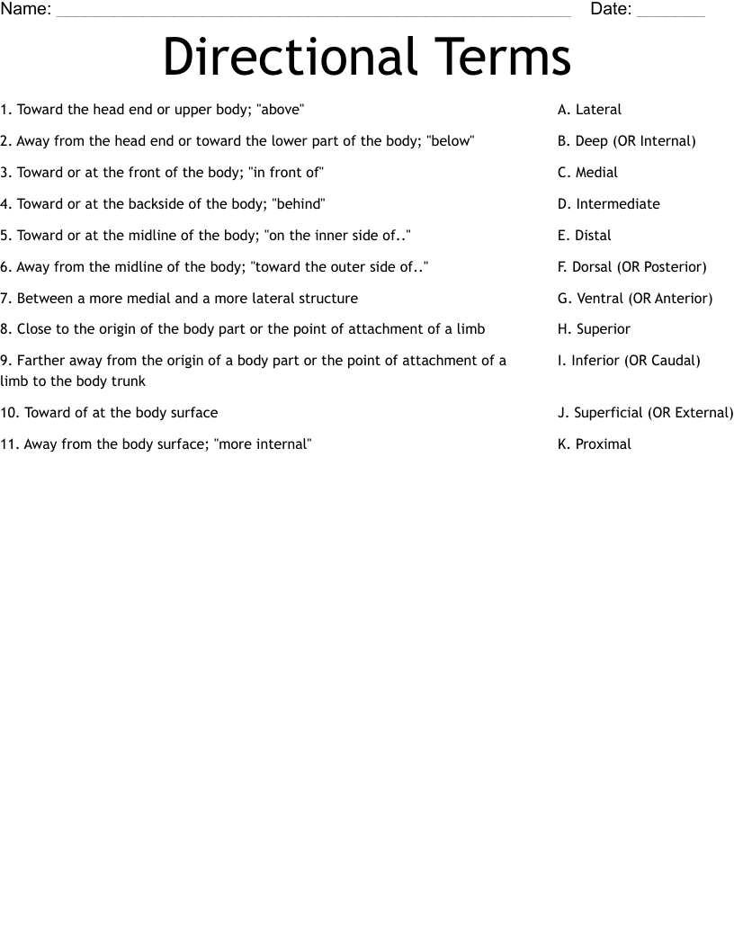 Directional Terms Worksheet