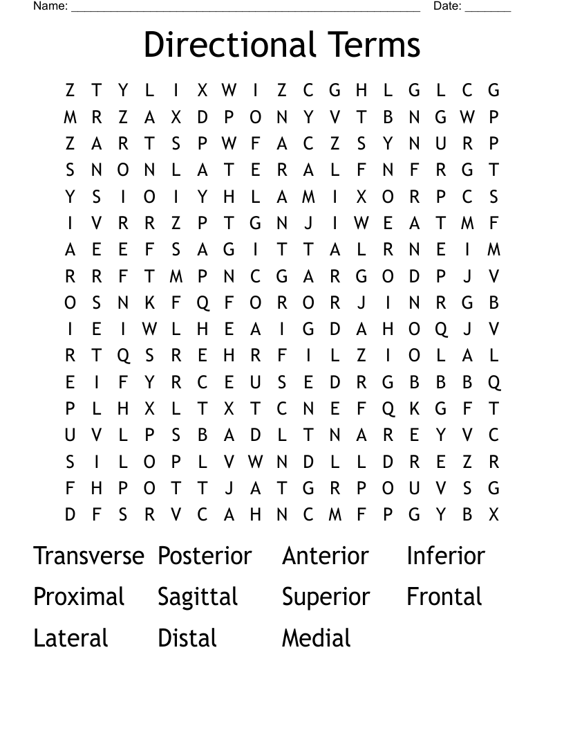 Directional Terms Word Search