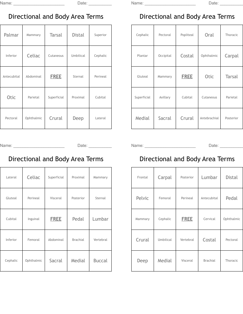 Directional and Body Area Terms Bingo Cards