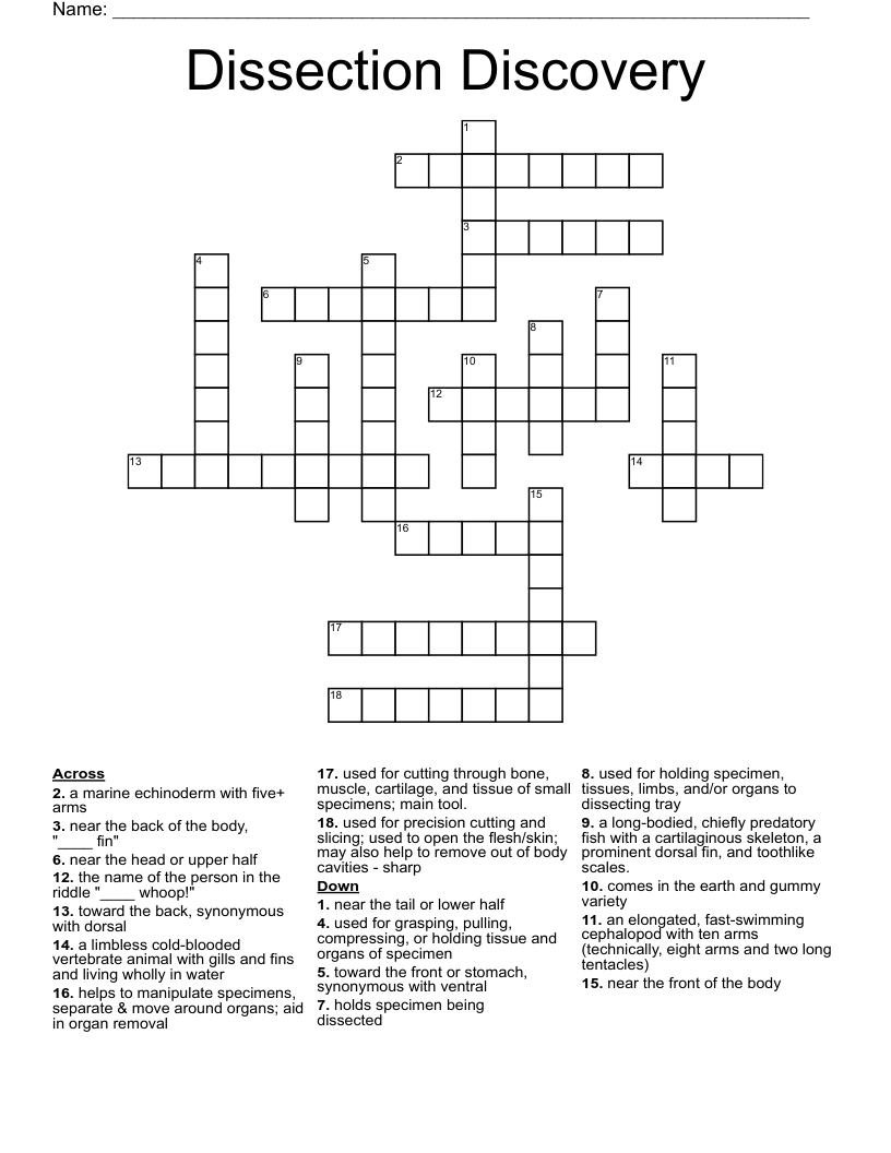 Dissection Discovery Crossword