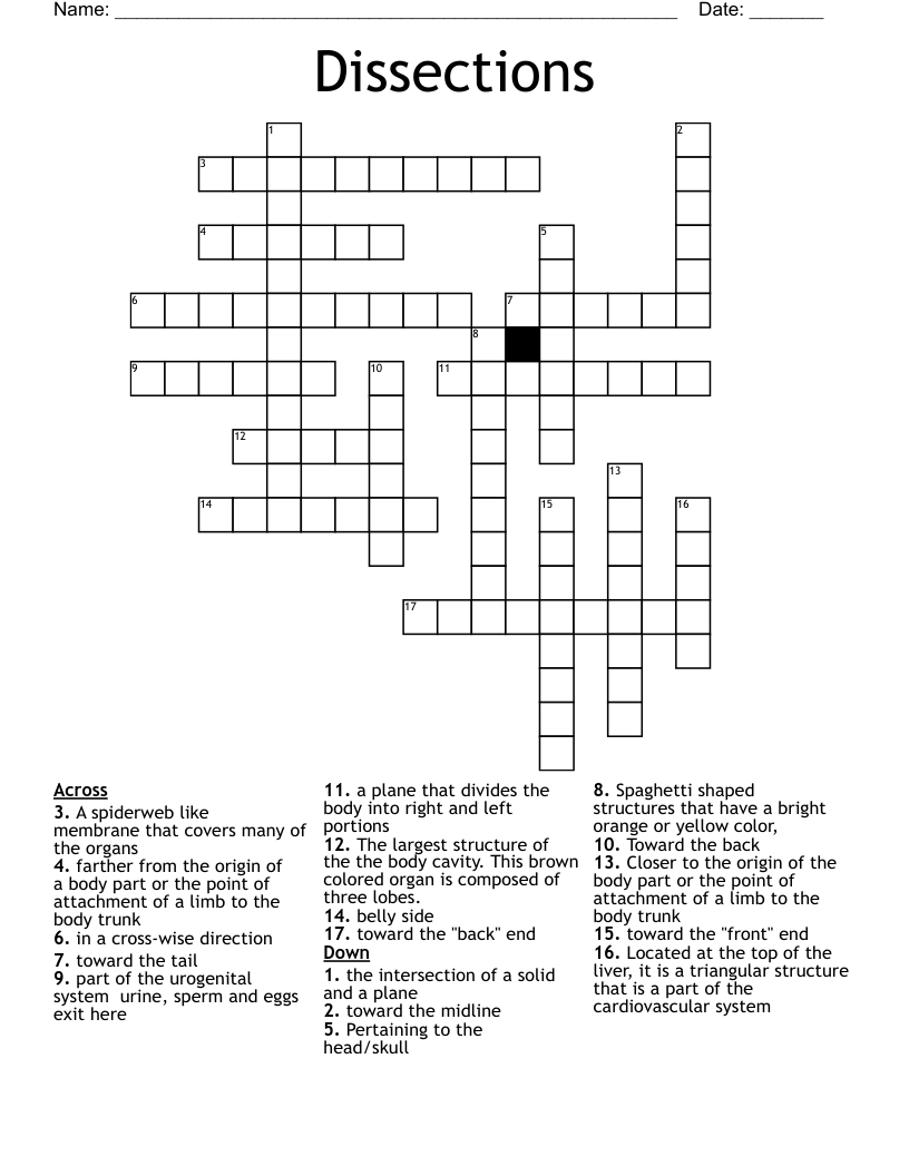Dissections Crossword