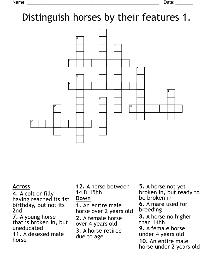 Distinguish horses by their features 1. Crossword