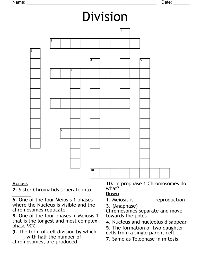 Division  Crossword