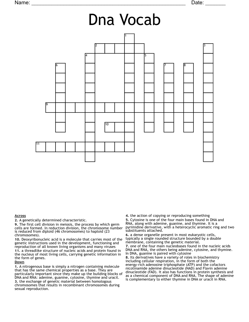 Dna Vocab Crossword