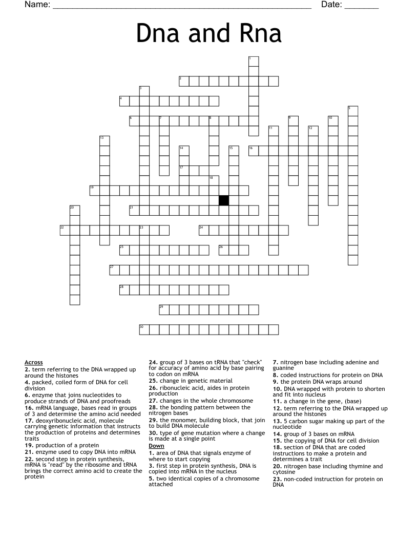Dna and Rna Crossword