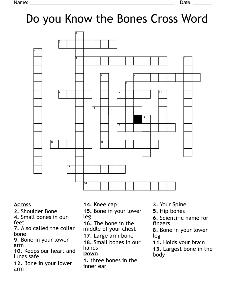 Do you Know the Bones Cross Word 